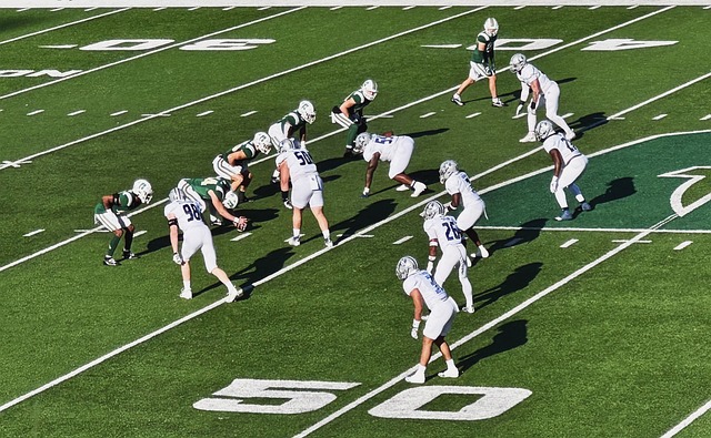 至达到单场 至达到单场