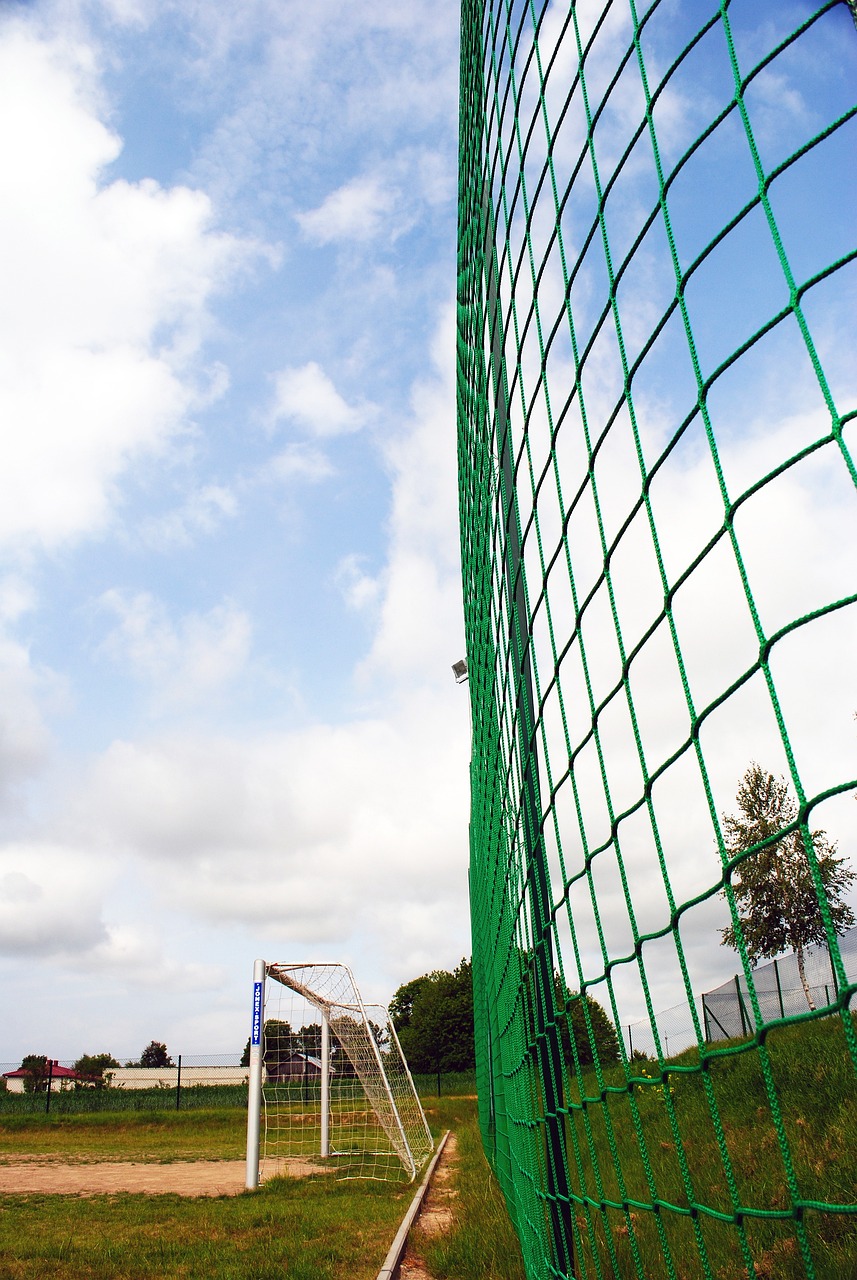 比較案例分 比較案例分