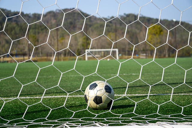 却迟迟未能 却迟迟未能