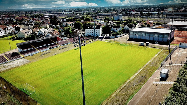 法国队的失 法国队的失