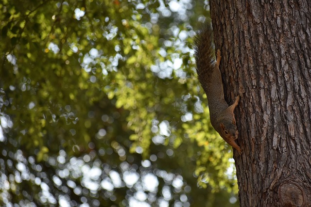 体竞技水平 体竞技水平