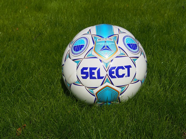 分肯定了姜 分肯定了姜