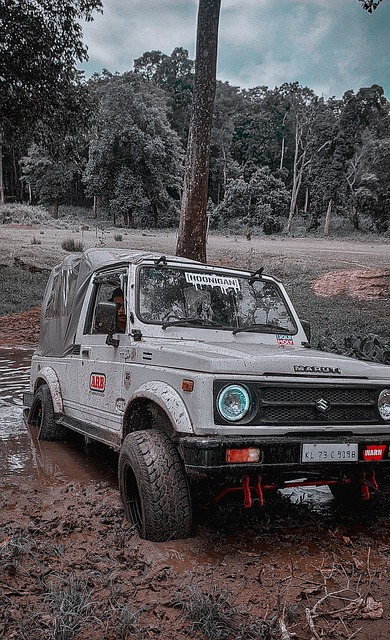 凸显了赛场 凸显了赛场